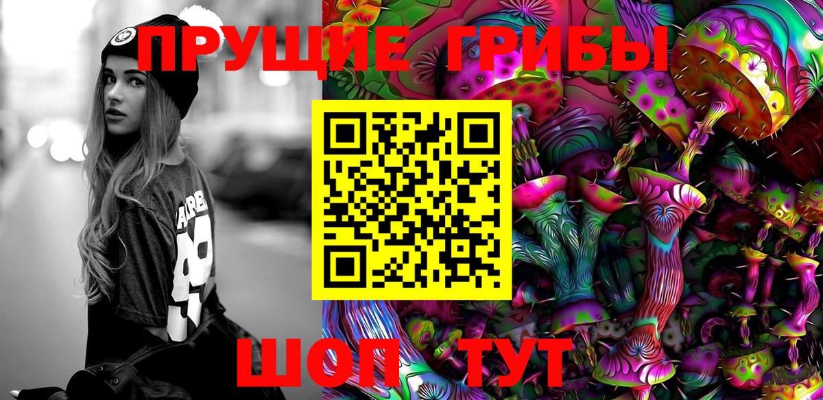 Псилоцибиновые грибы Psilocybine cubensis Звенигород