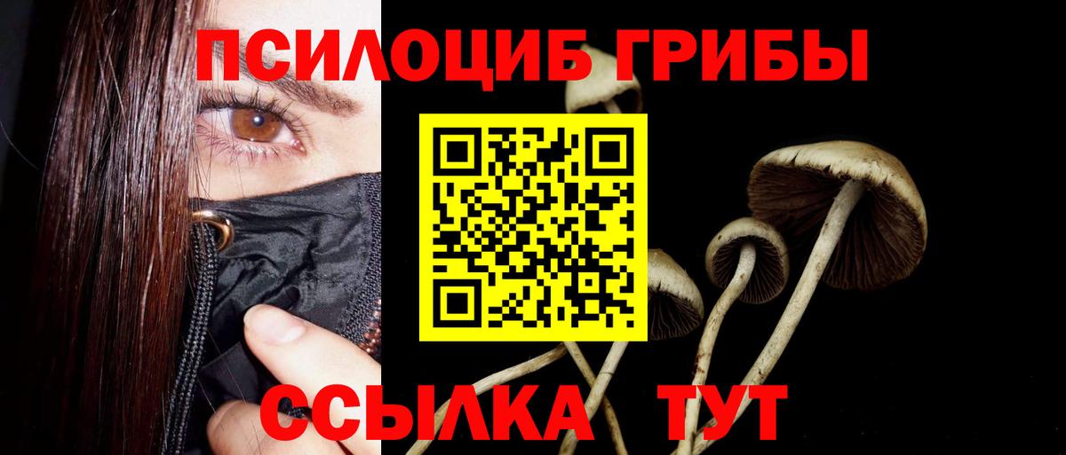 Псилоцибиновые грибы Psilocybine cubensis  Вход с VPN  Звенигород 